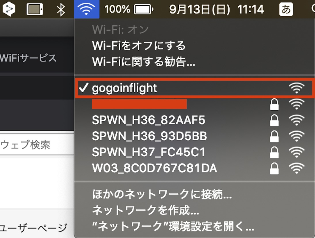 JAL 国内線 WiFi接続 gogoinflight PC