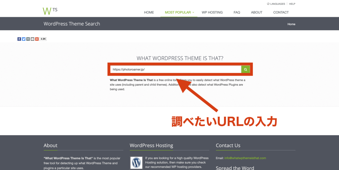 wordpressテーマ WordPress Theme Search URL入力