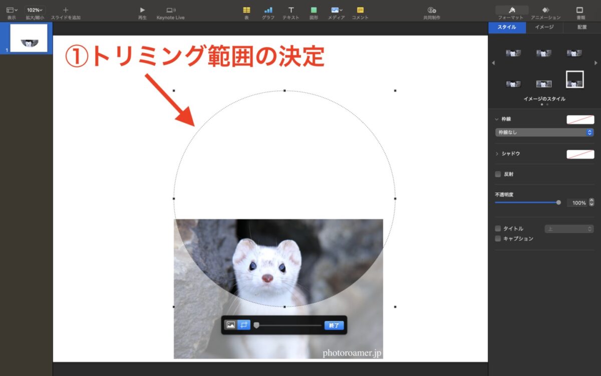 Keynote トリミング範囲（サイズ）の決定