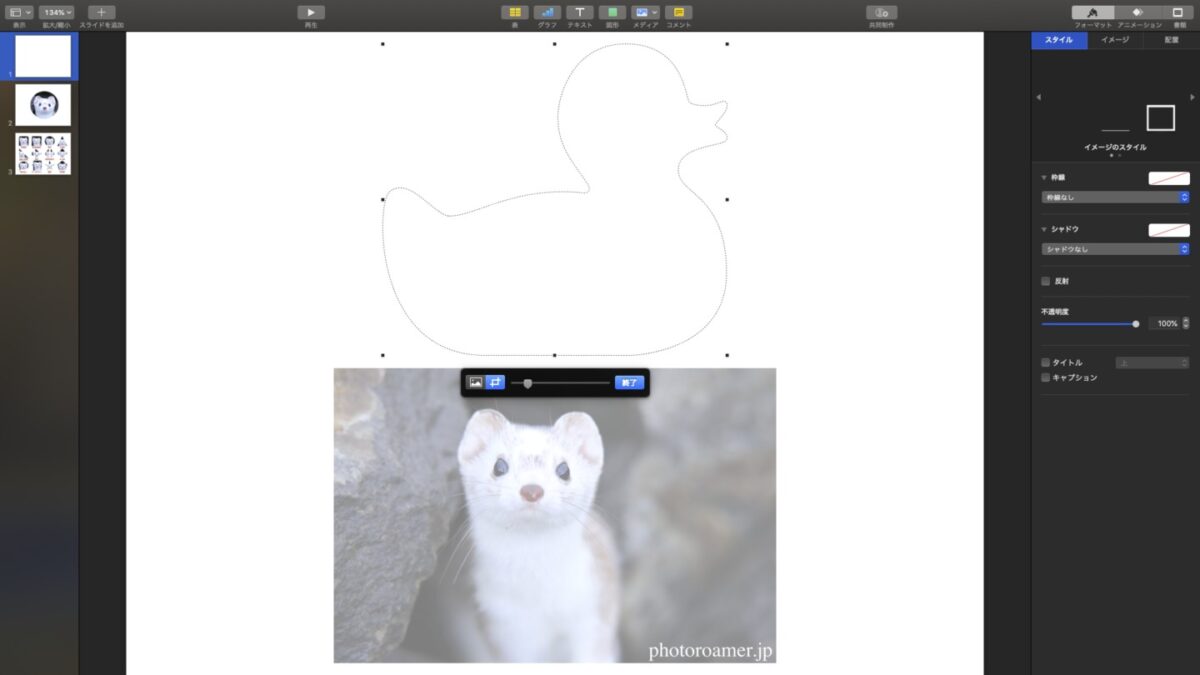 Keynote 写真 トリミング範囲 写真サイズ