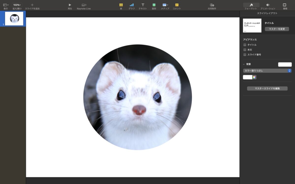 Macのkeynoteアプリで好きな形に写真をトリミングする方法 フォトロマ