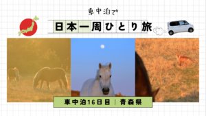 【車中泊で日本一周ひとり旅16日目】 アイキャッチ画像