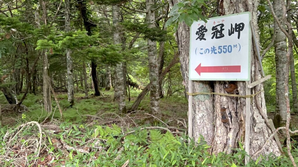 【車中泊で日本一周ひとり旅110日目】愛冠岬 駐車場