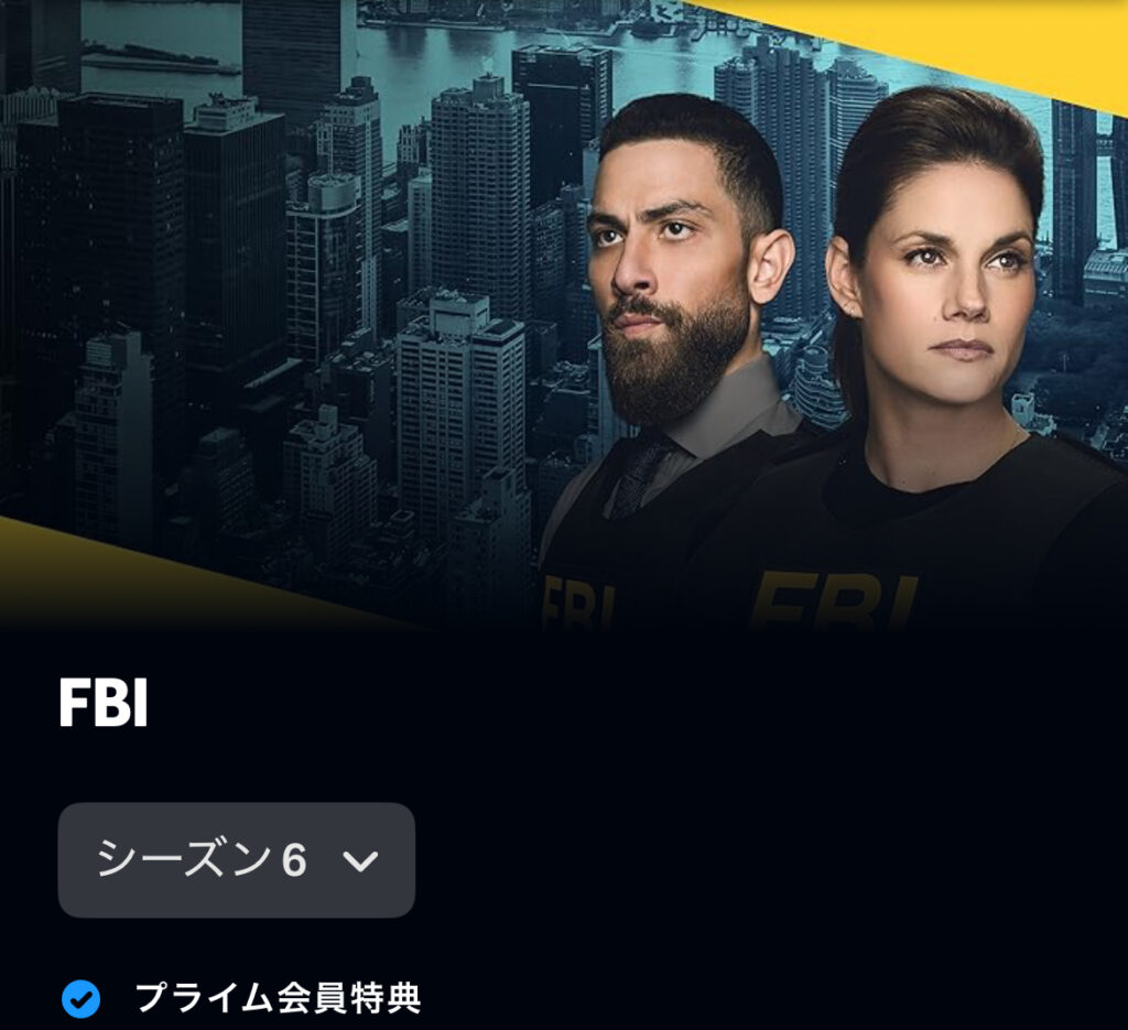 FBI：特別捜査班 シーズン6