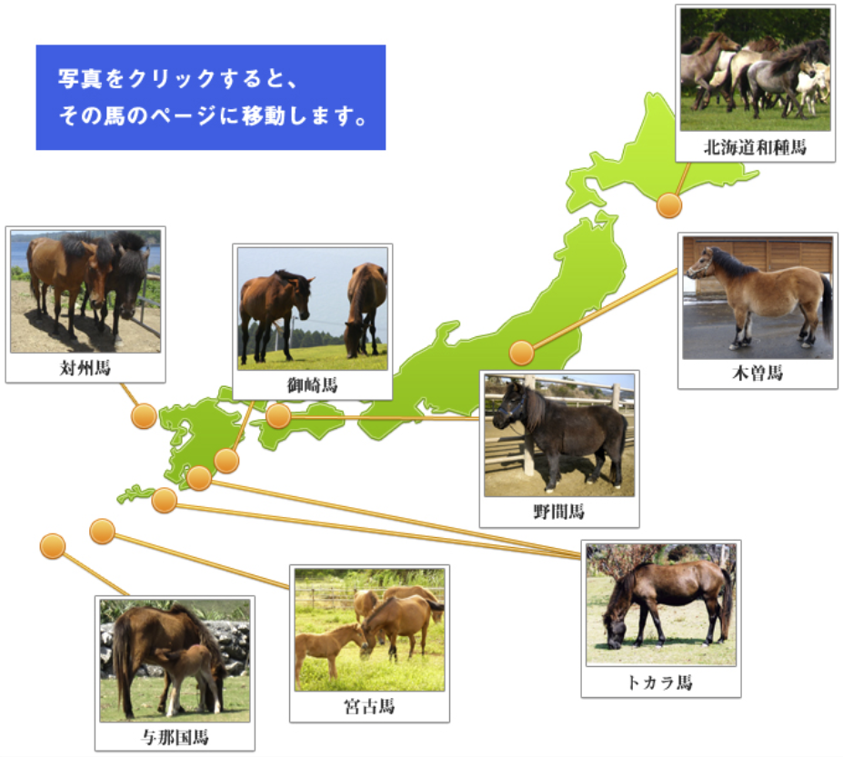 日本在来馬 8種類