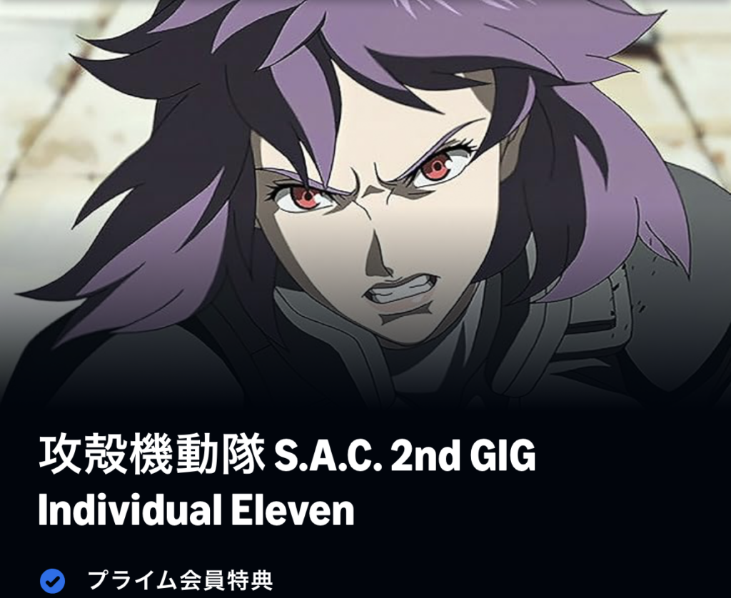 攻殻機動隊 S.A.C. 2nd GIG Individual Eleven