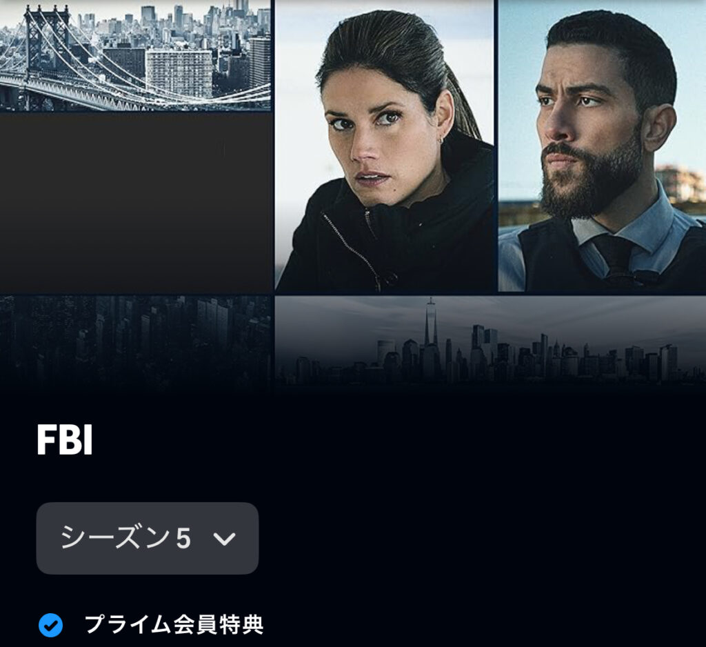 FBI：特別捜査班 シーズン5