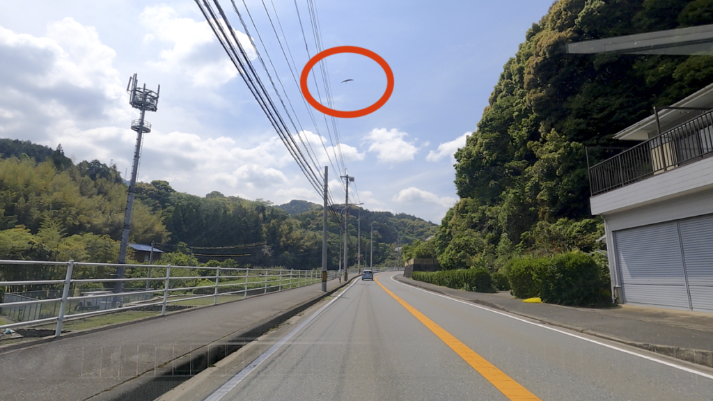 【車中泊で日本一周ひとり旅83日目】鳥のフン