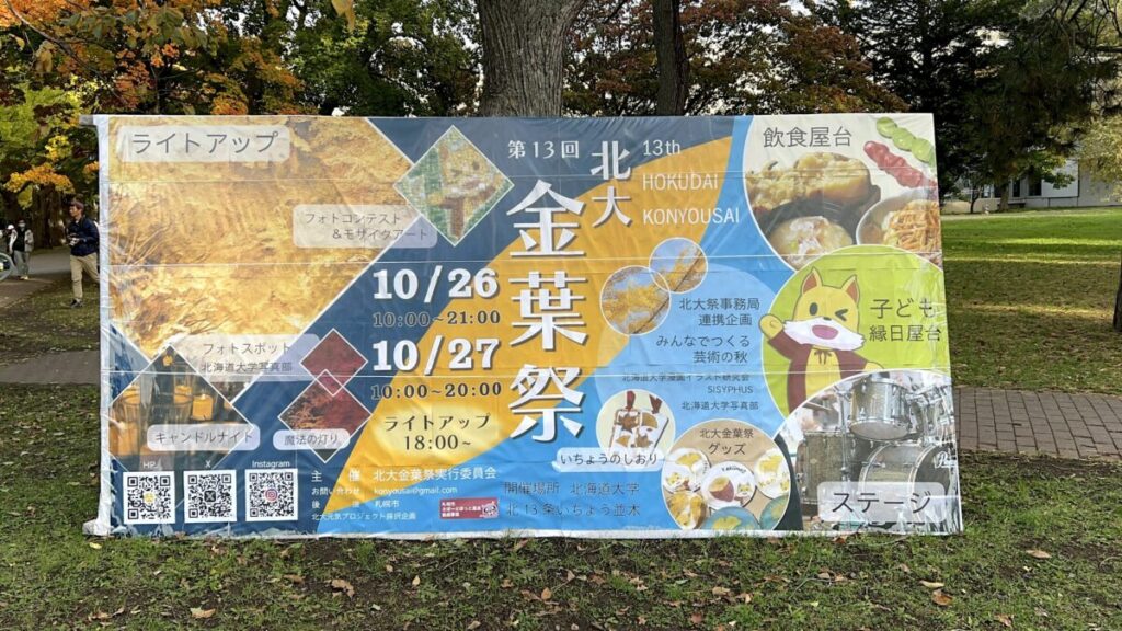 北海道大学 北大イチョウ並木