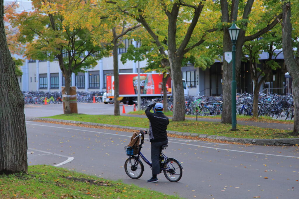 北海道大学 北大イチョウ並木