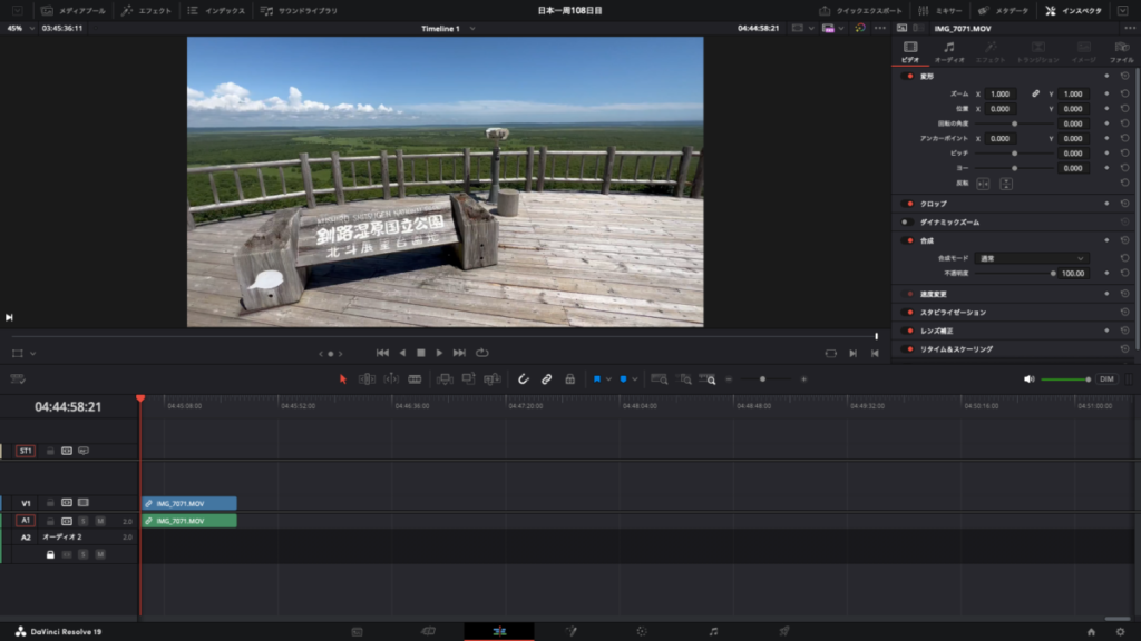 DaVinci Resolve 枠 入れる前