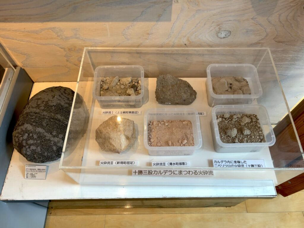 ひがし大雪自然館 企画展示スペース