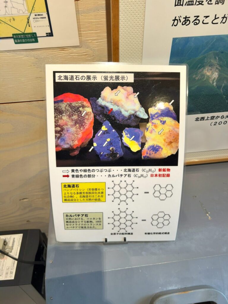 ひがし大雪自然館 企画展示スペース