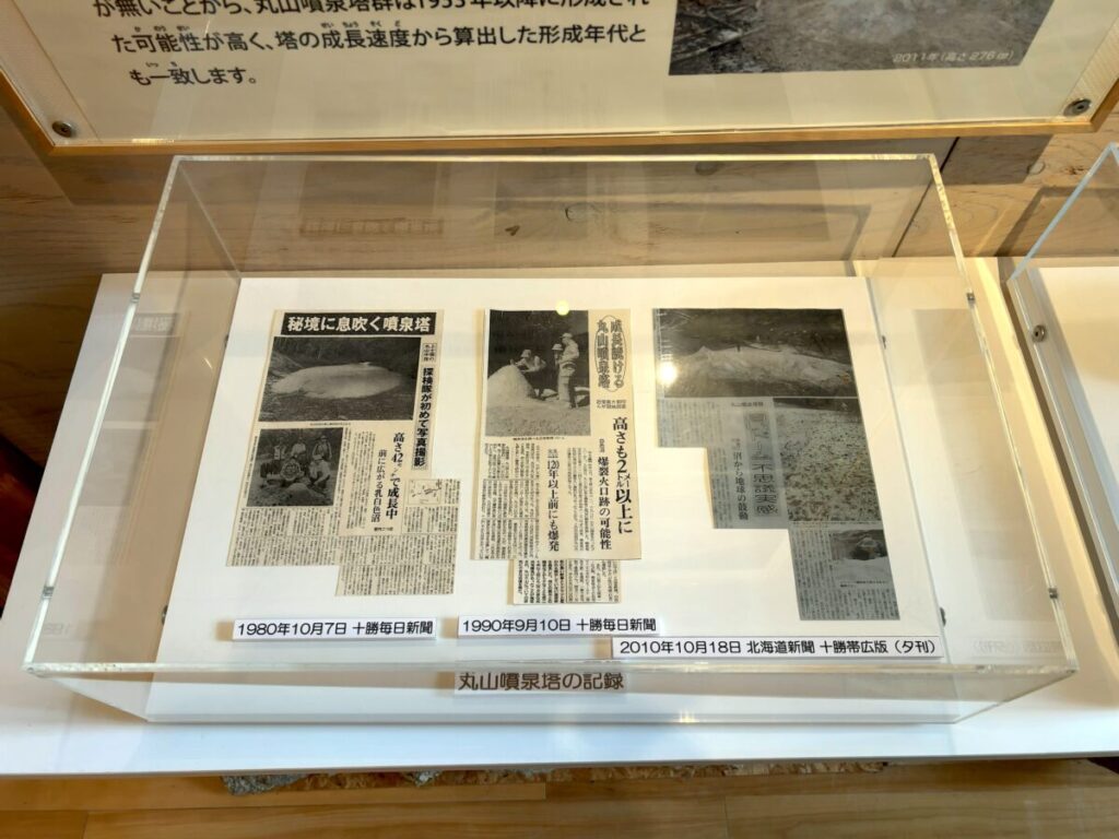 ひがし大雪自然館 企画展示スペース