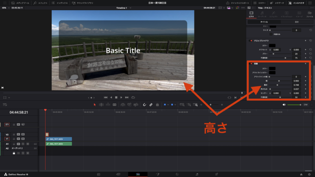 DaVinci Resolve 枠 高さ