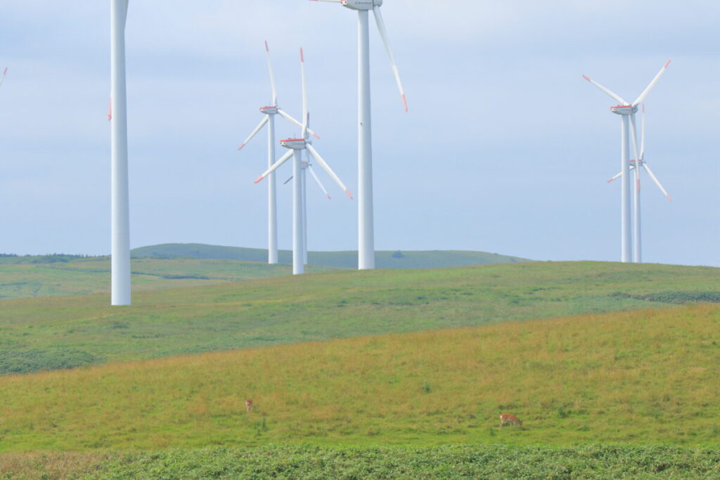 北海道 稚内 白い道 スタート地点 行き方 宗谷丘陵 風車