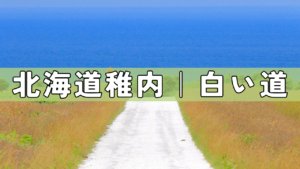北海道稚内 白い道 アイキャッチ画像