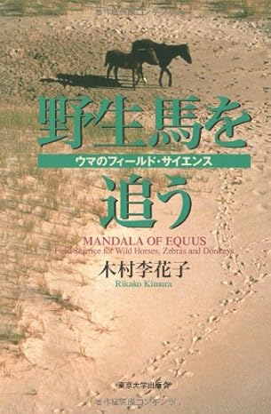 野生馬を追う