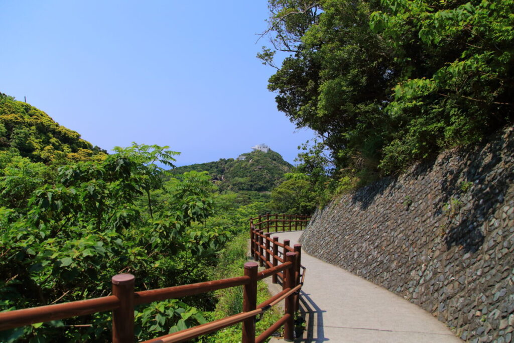 佐多岬展望台 道のり