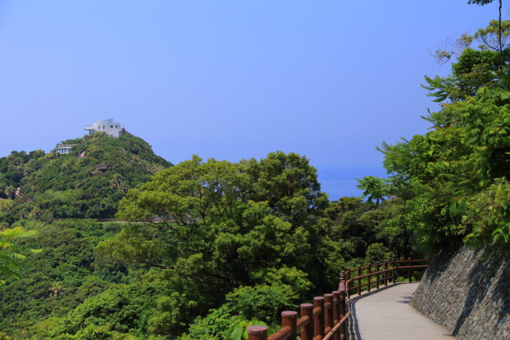 佐多岬展望台 道のり