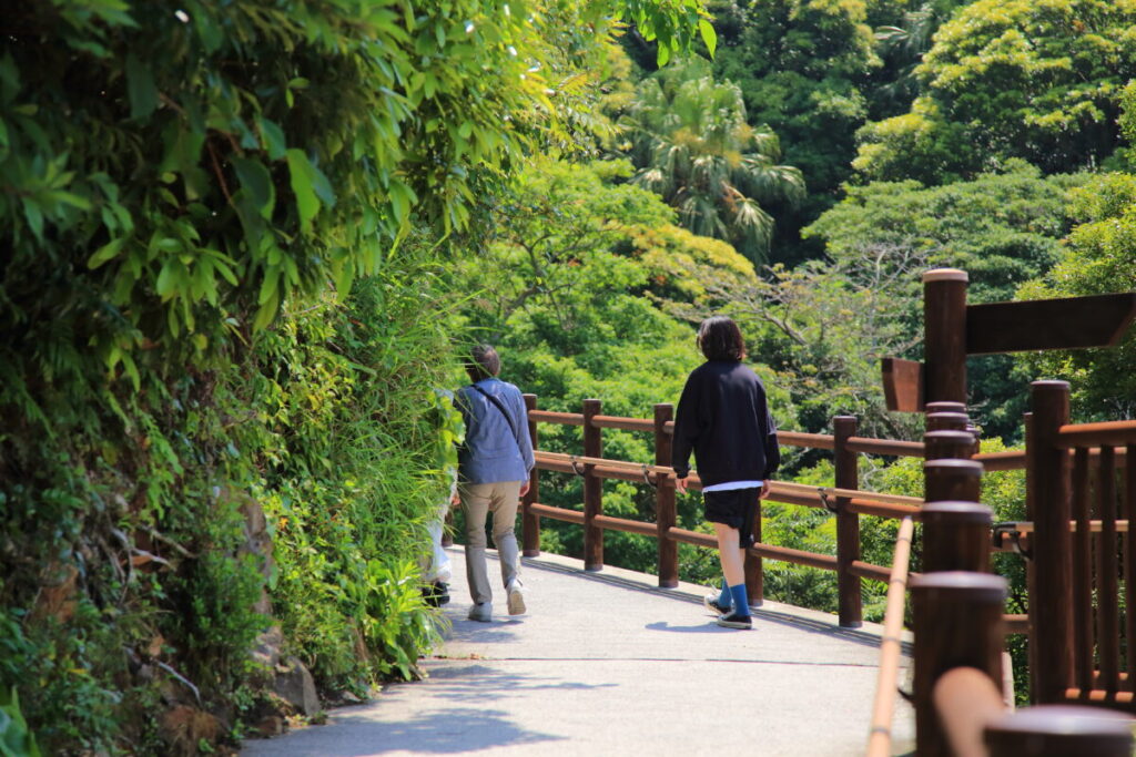 佐多岬展望台 道のり 歩行者