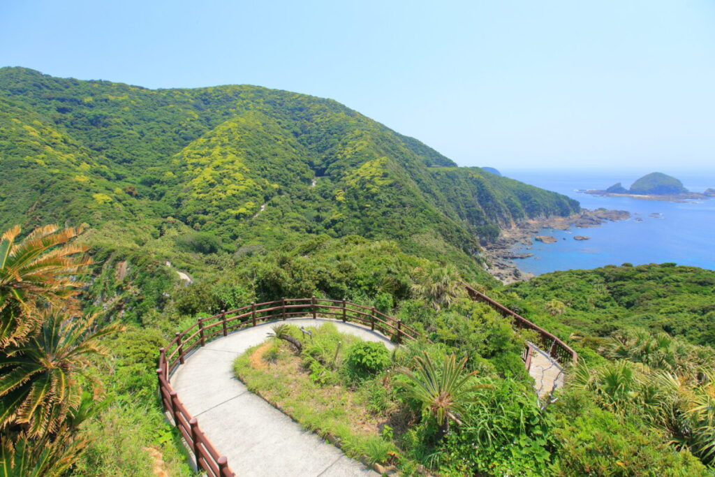 佐多岬展望台 展望台周辺 森