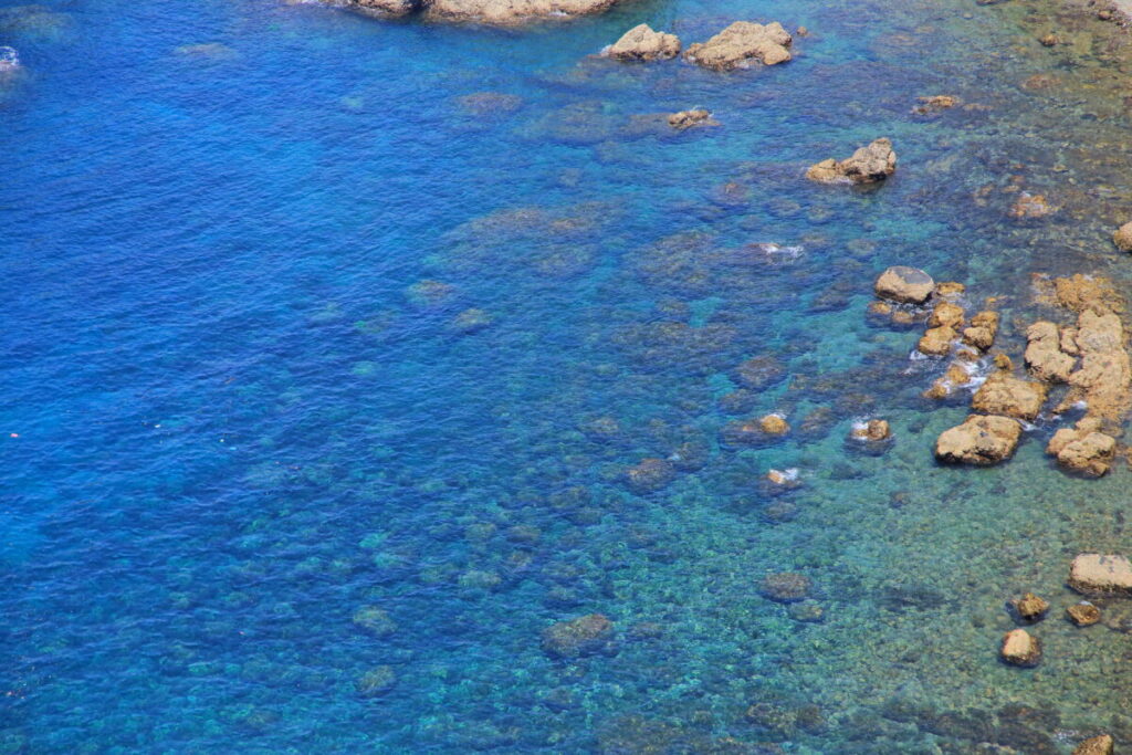佐多岬展望台 展望台周辺 海