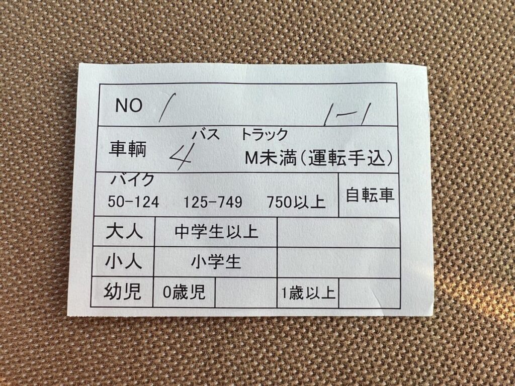 フェリーなんきゅう 山川港 フェリー 乗船券