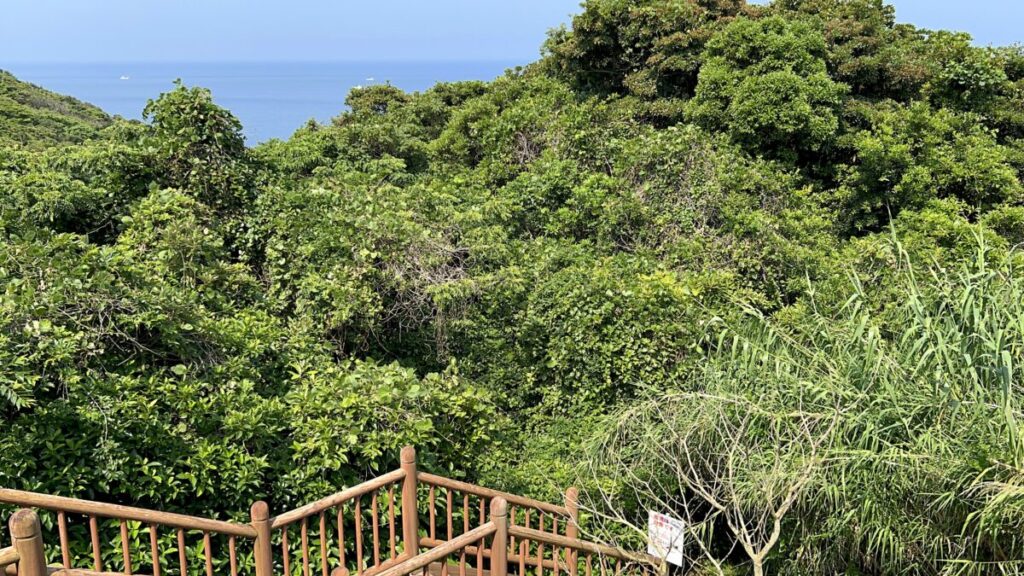 佐多岬 ふれあいパーク佐多 植物