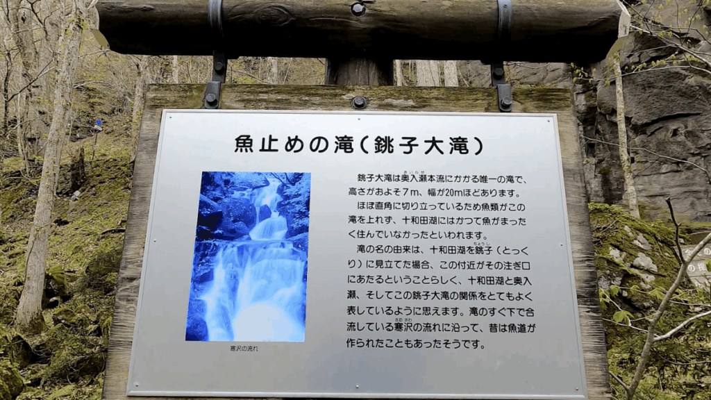 奥入瀬渓流 奥入瀬川 銚子大滝