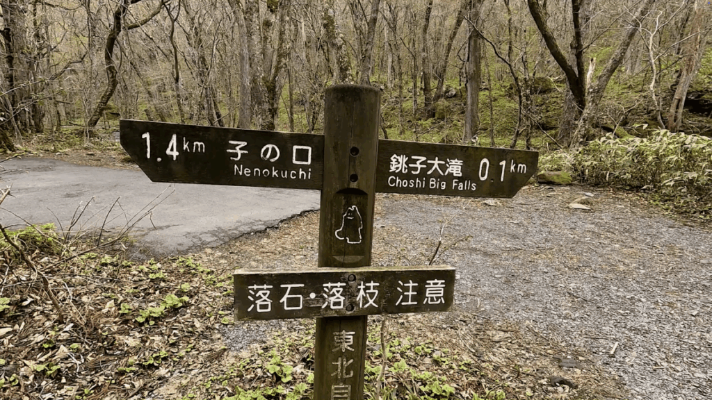 奥入瀬渓流 奥入瀬川 銚子大滝