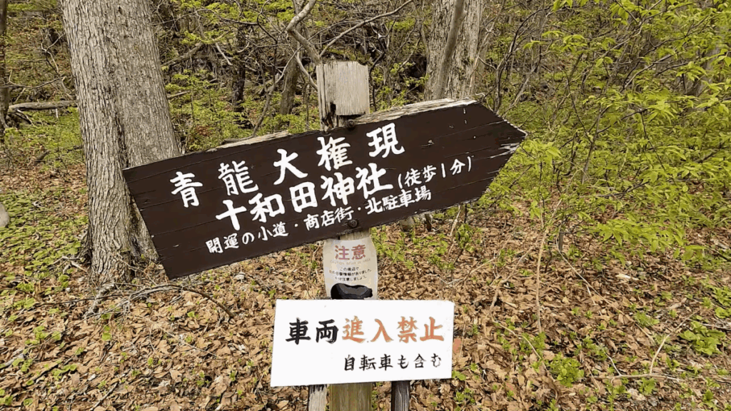 十和田湖 遊歩道