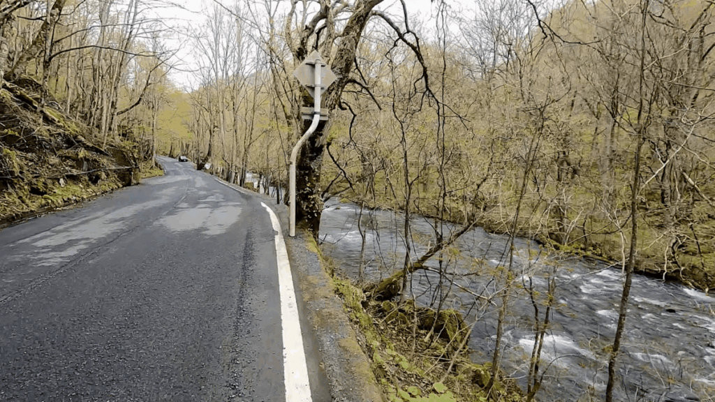 奥入瀬渓流 道路