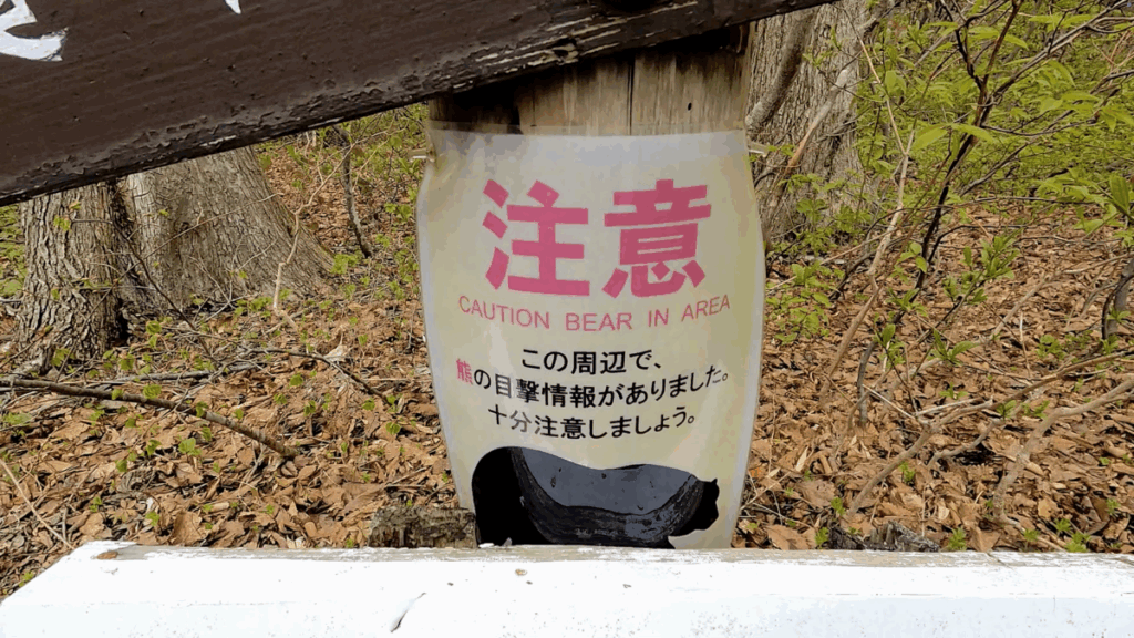 十和田湖 散策路 熊出没