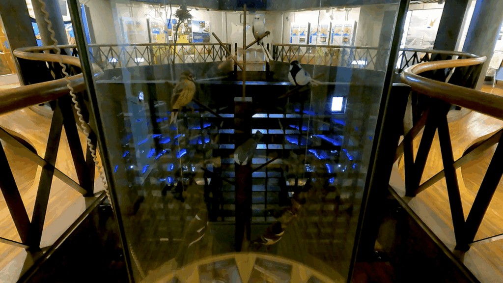 釧路市湿原展望台 展示物 鳥の声