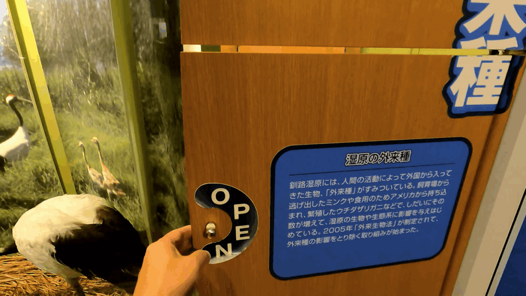 釧路市湿原展望台 展示物