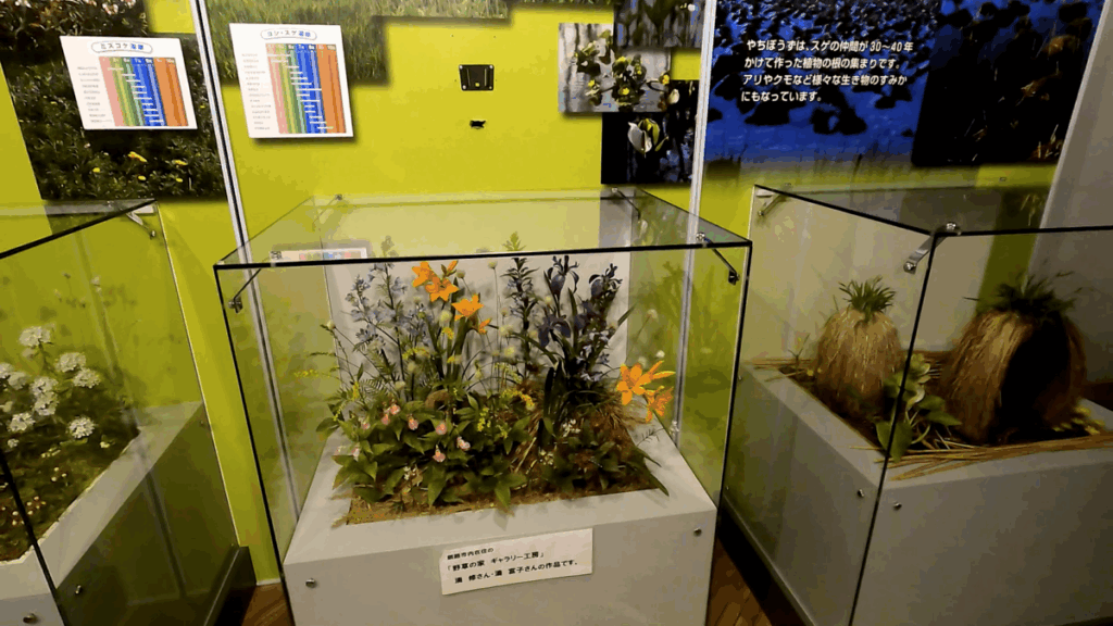 釧路市湿原展望台 展示物