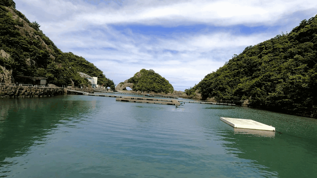 和歌山 太地町 くじらの博物館 イルカ・クジラショー