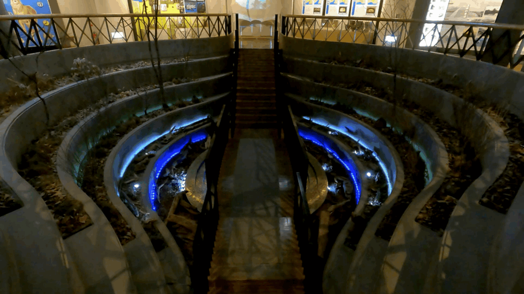 釧路市湿原展望台 展示物