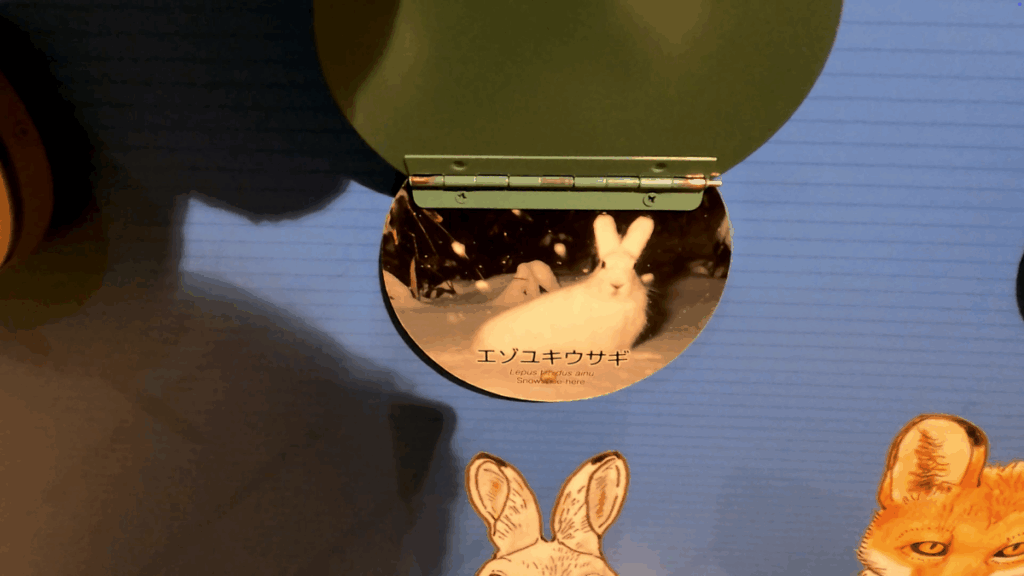 釧路市湿原展望台 展示物