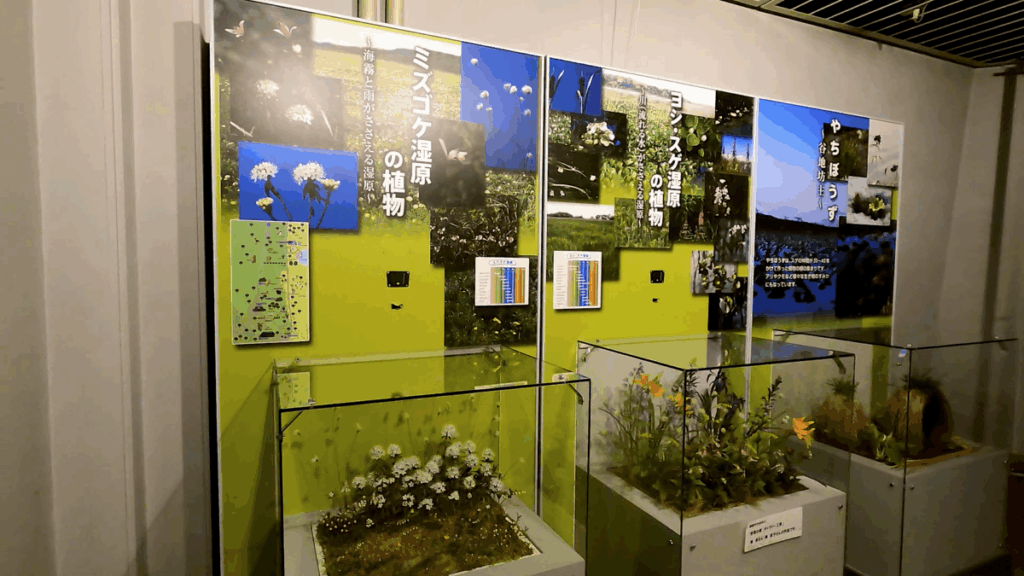 釧路市湿原展望台 展示物
