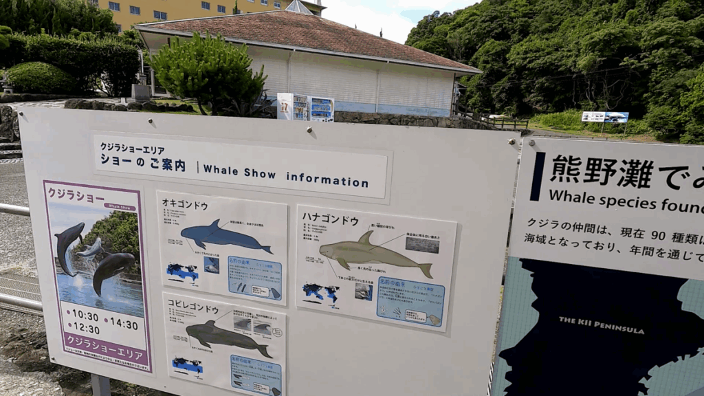 和歌山 太地町 くじらの博物館 イルカ・クジラショー