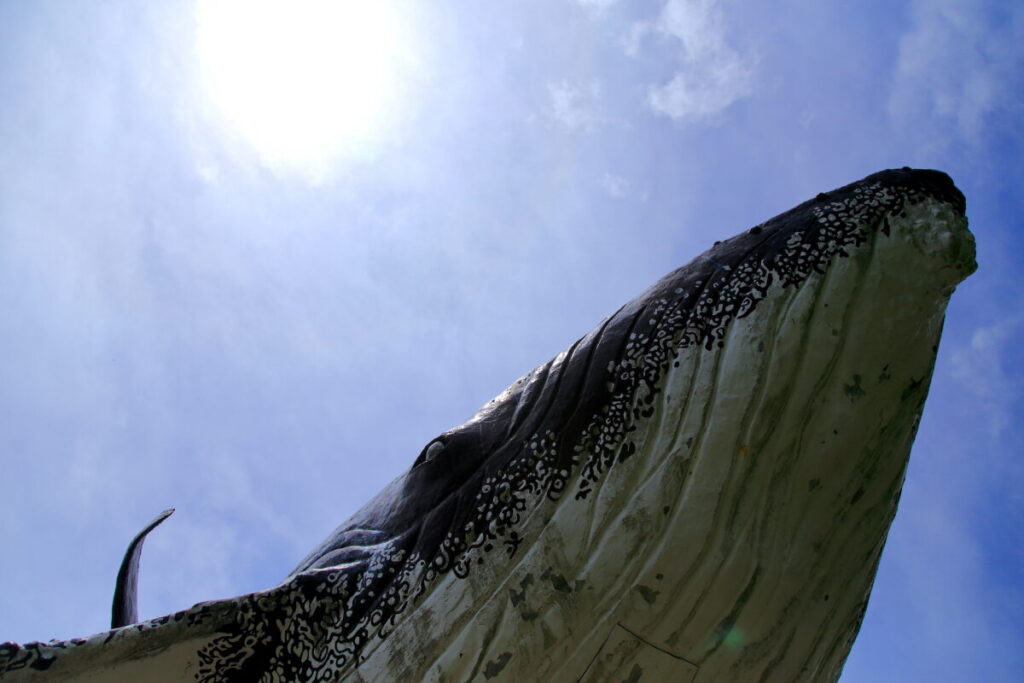 和歌山 太地町 くじらのモニュメント