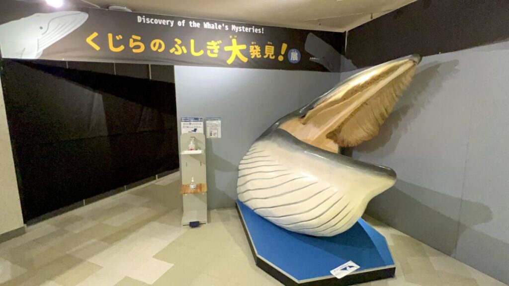 和歌山 太地町 くじらの博物館