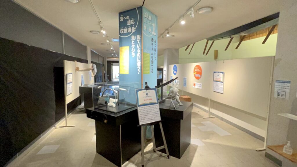 和歌山 太地町 くじらの博物館