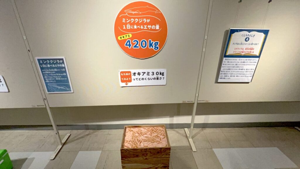和歌山 太地町 くじらの博物館