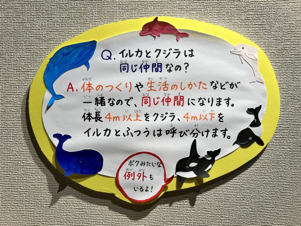 和歌山 太地町 くじらの博物館