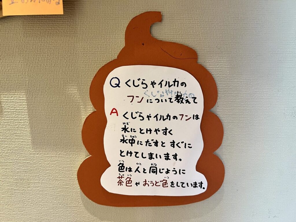 和歌山 太地町 くじらの博物館