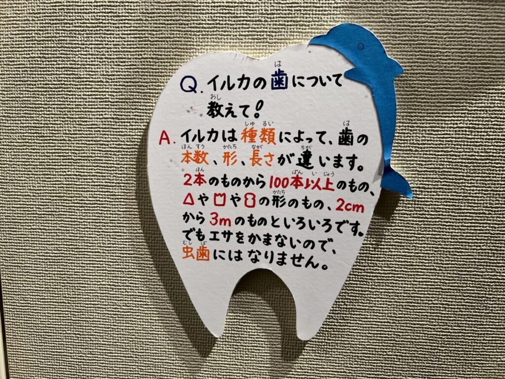 和歌山 太地町 くじらの博物館
