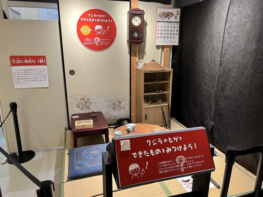 和歌山 太地町 くじらの博物館